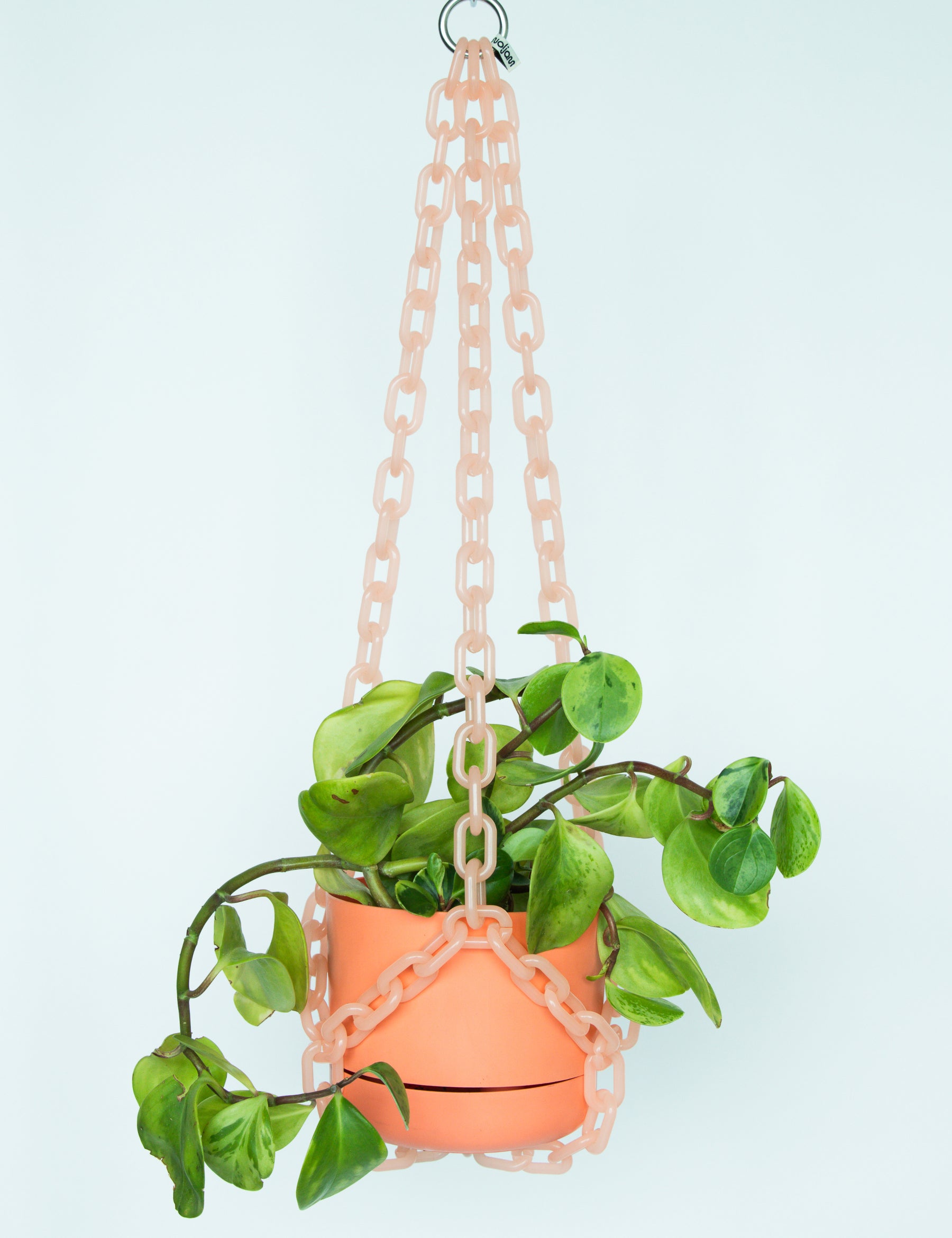01_pots_peach.jpg