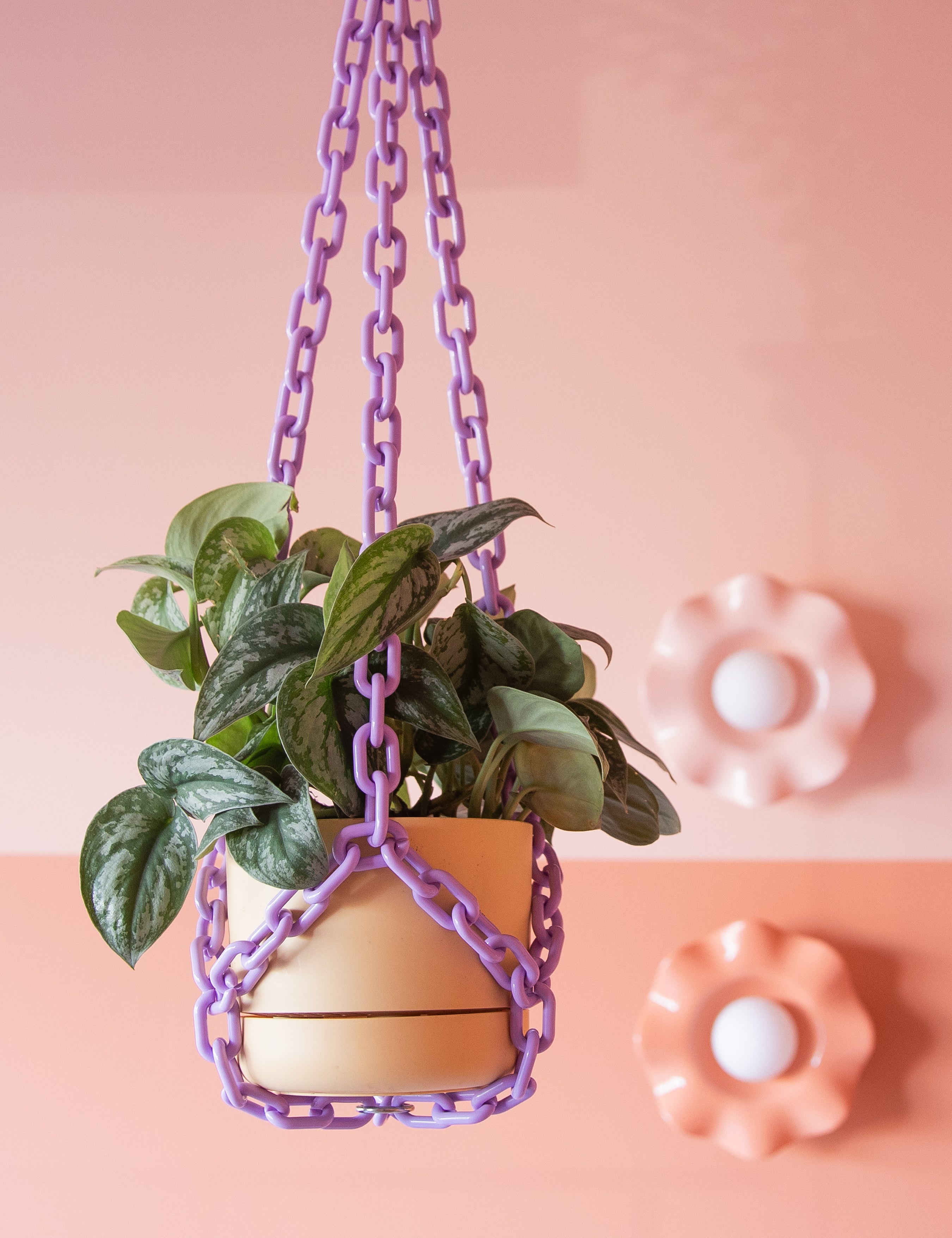lilac.jpg